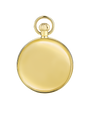 Case Gold Plated Dial White Dial Arabic