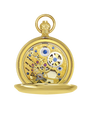 Case Gold Plated Dial Skeleton Dial Roman