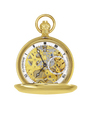 Case Gold Plated Dial Skeleton Dial Roman