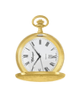Case Gold Plated Dial White Dial Roman