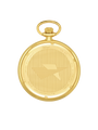 Case Gold Plated Stainless Steel Dial White Dial Arabic