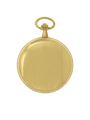 Case Gold Plated Dial White Dial Arabic